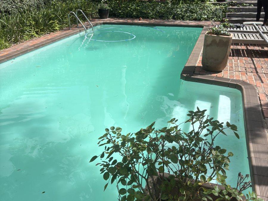 Pool finished in Coral Teal and refilled