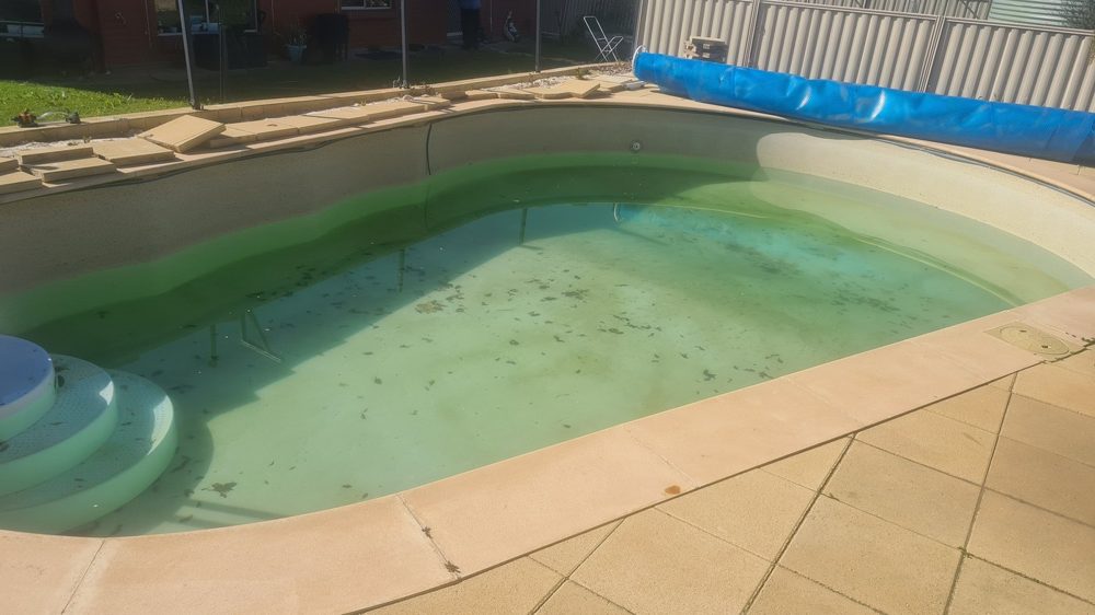 Faded vinyl liner pool with green water, before conversion